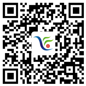 手機網站 手機網站